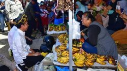 Masyarakat Muna Antusias Sambut Kunjungan Jokowi di Pasar Laino Raha